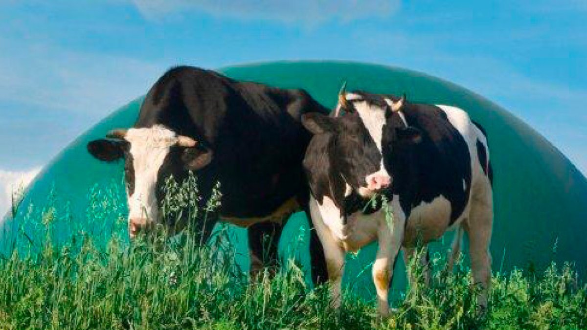 El proyecto de Biorig impulsa la economía circular de proximidad y sitúa a León a la vanguardia europea en gestión agroganadera