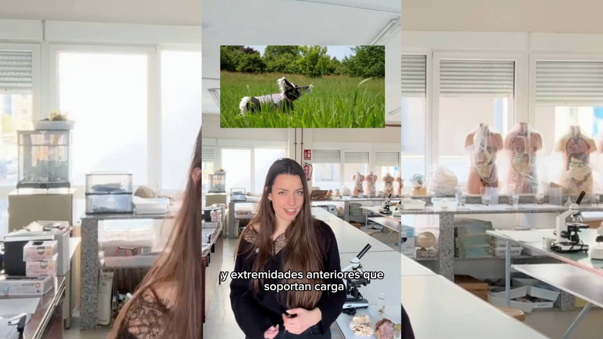 Laura Pinillas graba su vídeo desde un laboratorio para explicar, con base científica, por qué el cuerpo humano no está diseñado para imitar la locomoción de los cuadrúpedos