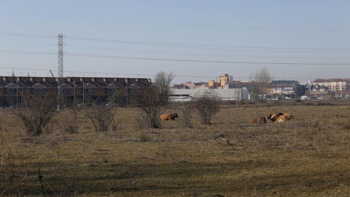 Suelo de Villaobispo donde se construirá el 'gemelo' del centro comercial Reino de León.