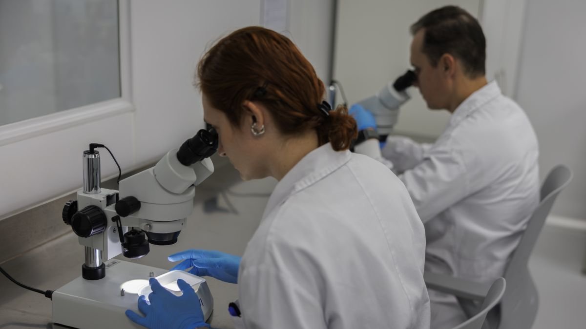 Dos personas trabajando en un laboratorio.