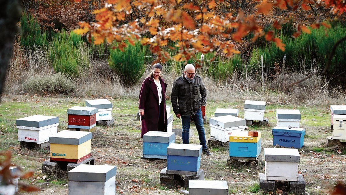 Raquel y Nacho, en uno de los colmenares de Los Izanes.