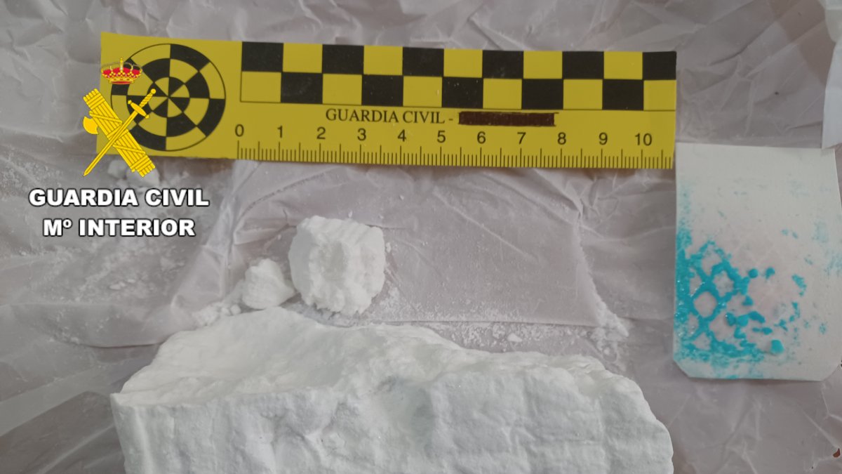 Droga decomisada en Valencia de Don Juan.
