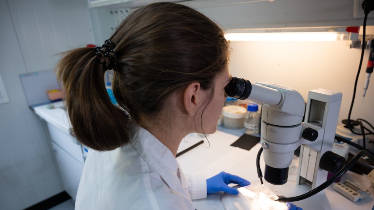 Imagen de recurso de un laboratorio del CSIC.