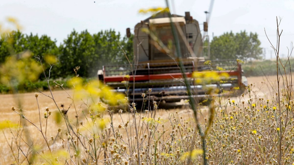 Organizaciones agrarias y las cooperativas ya alertaron del alza de precios por el conflicto en Oriente Medio.