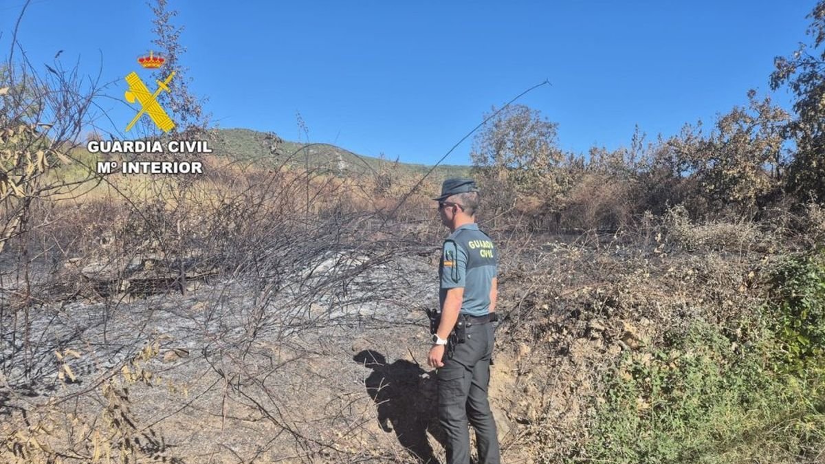 Imagen de incendio de San Juan de Paluezas difundida por la Guardia Civil.