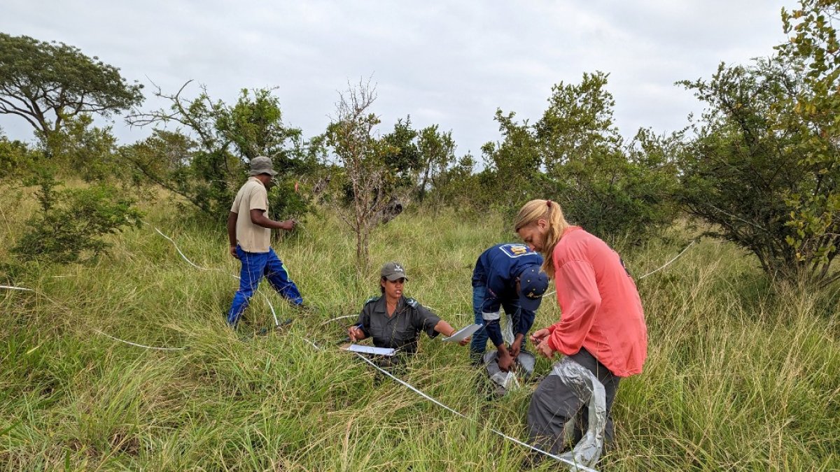Los investigadores de la ULE, en el trabajo de campo.
