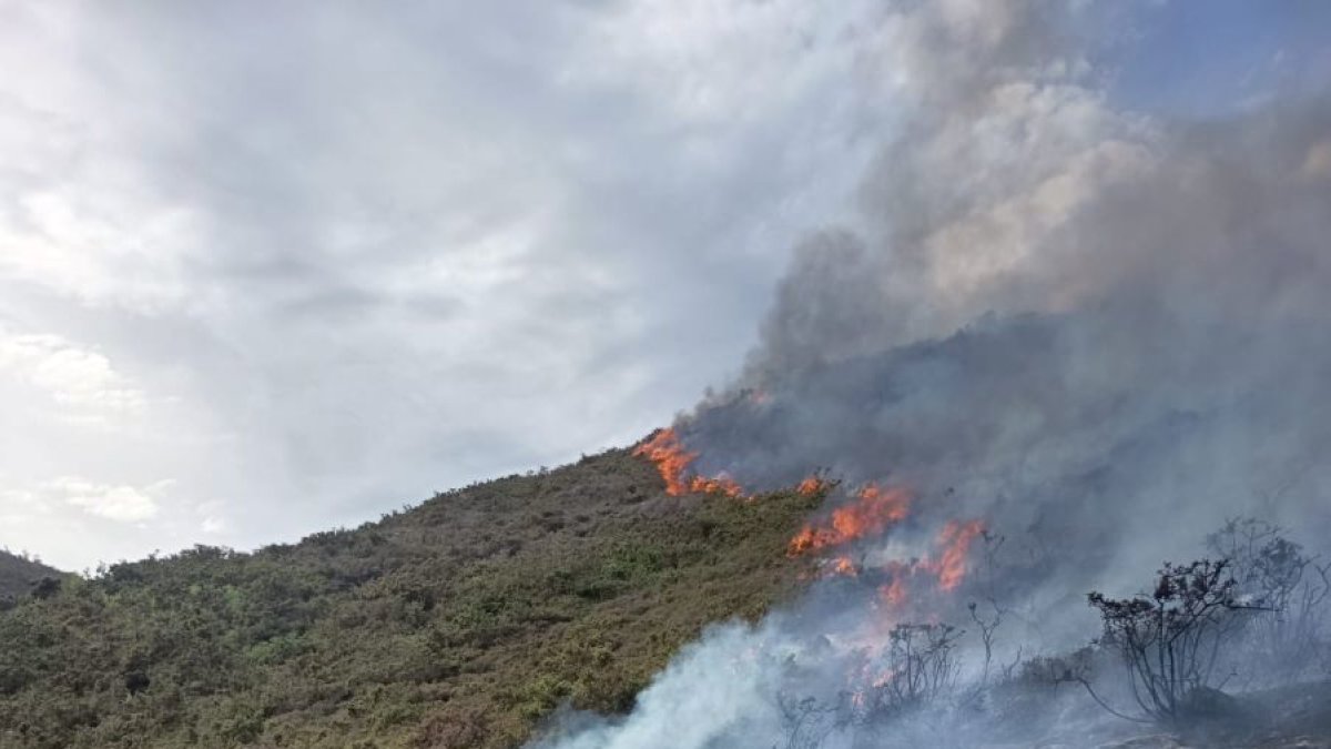 Agentes de las Brif de Tabuyo se han desplazado a Allande, en Asturias.