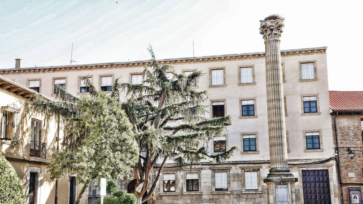 Manuel Belinchón Martínez
Director GENERAL DEL COLEGIO LEONéS