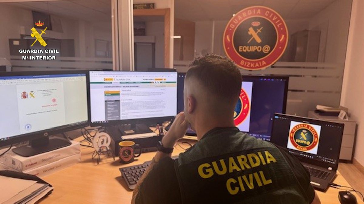 Un agente de la Guardia Civil lleva a cabo labores de investigación en internet.