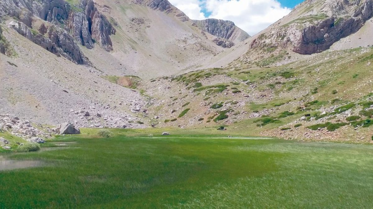La ondina, figura mitológica de las aguas.