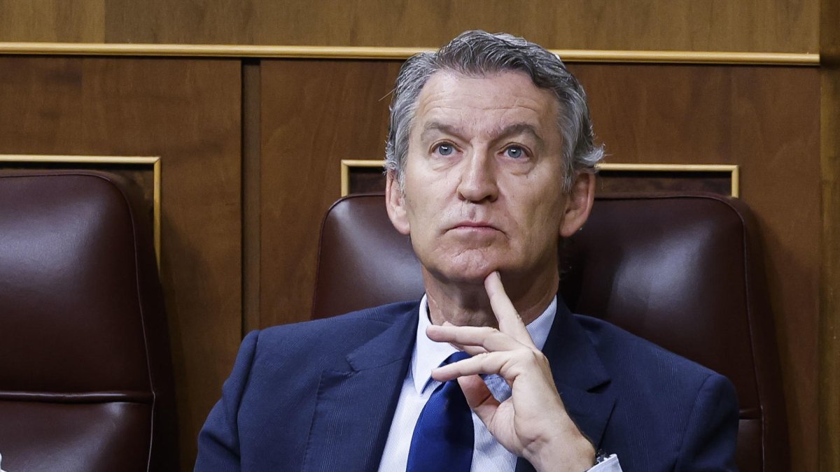 El líder del PP, Alberto Núñez Feijóo, durante la sesión de control al Gobierno que se celebra este miércoles en el Congreso. EFE/ Chema Moya.