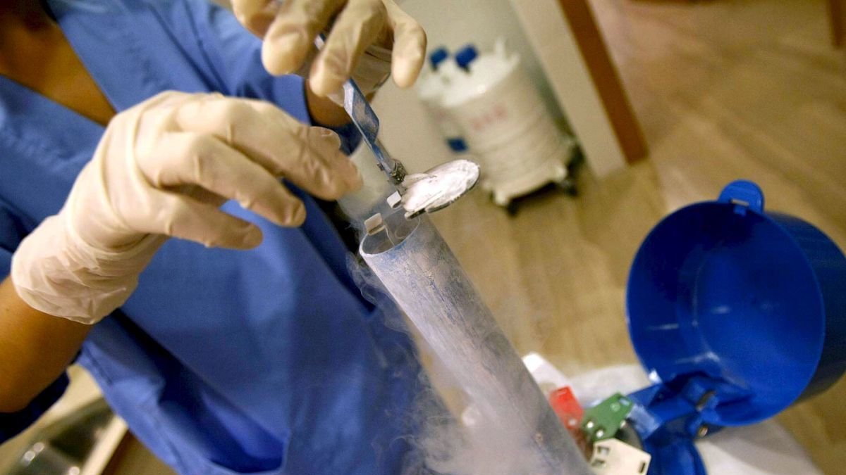Los laboratorios de reproducción asistida se adaptan a los nuevos perfiles sociales.