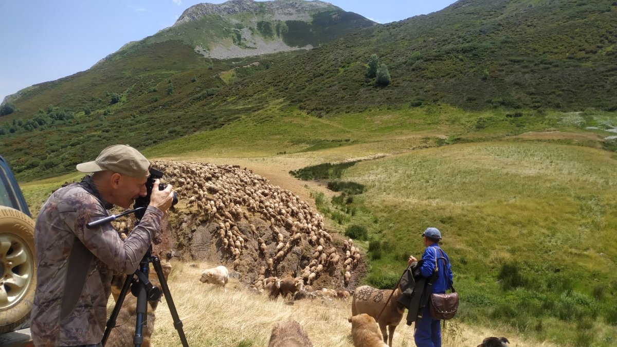 Una imagen del documental 'Tierra de lobos, escuela de pastores'.