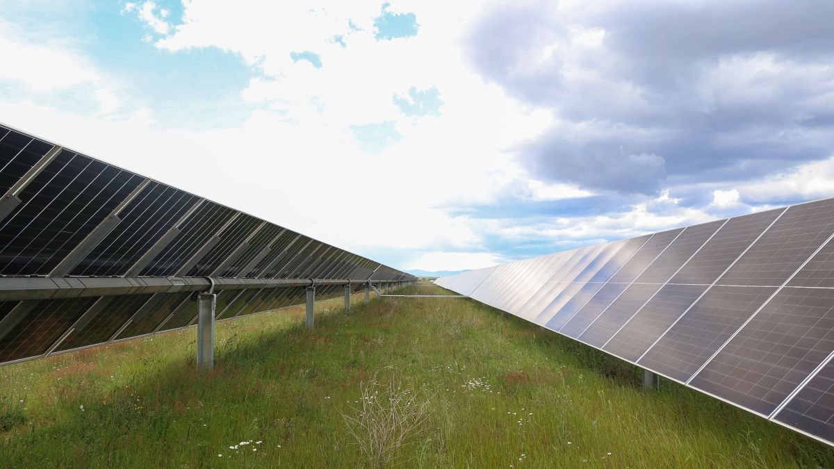 El complejo cuenta con 350.000 placas solares repartidas en 310 hectáreas.
