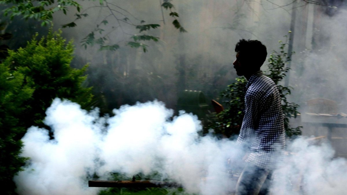 Fotografía de archivo de un hombre fumigando en un parque.