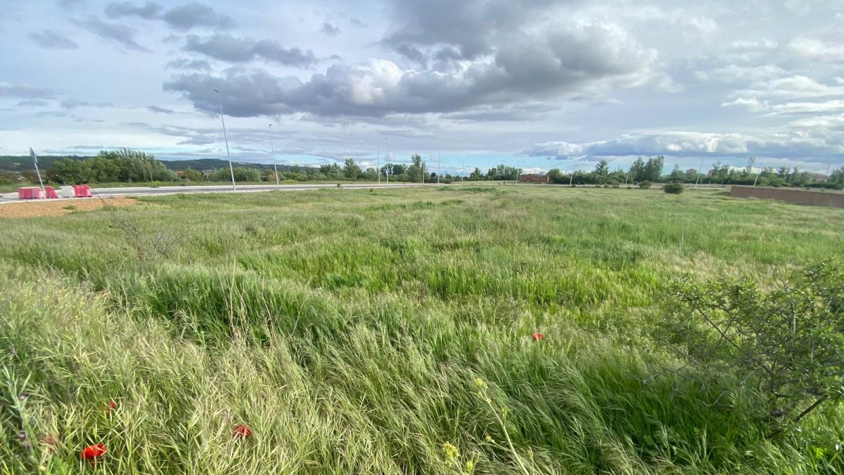 Parcela donde se construirá el instituto de Villaquilambre.