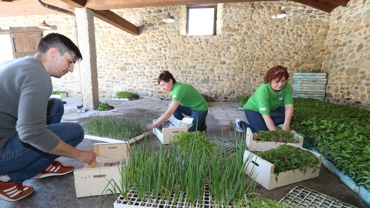 Imagen de entrega de plantas para huerta de una campaña anterior del Consejo.