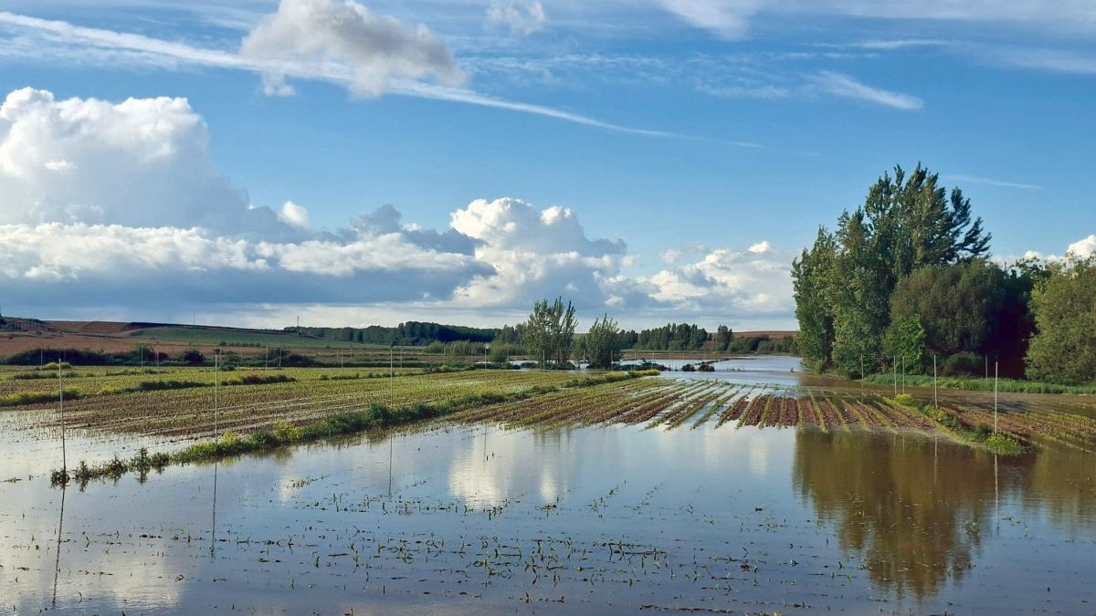 Finca totalmente anegada de agua tras una de ls tormentas de estos días en Matallana de Valmadrigal.