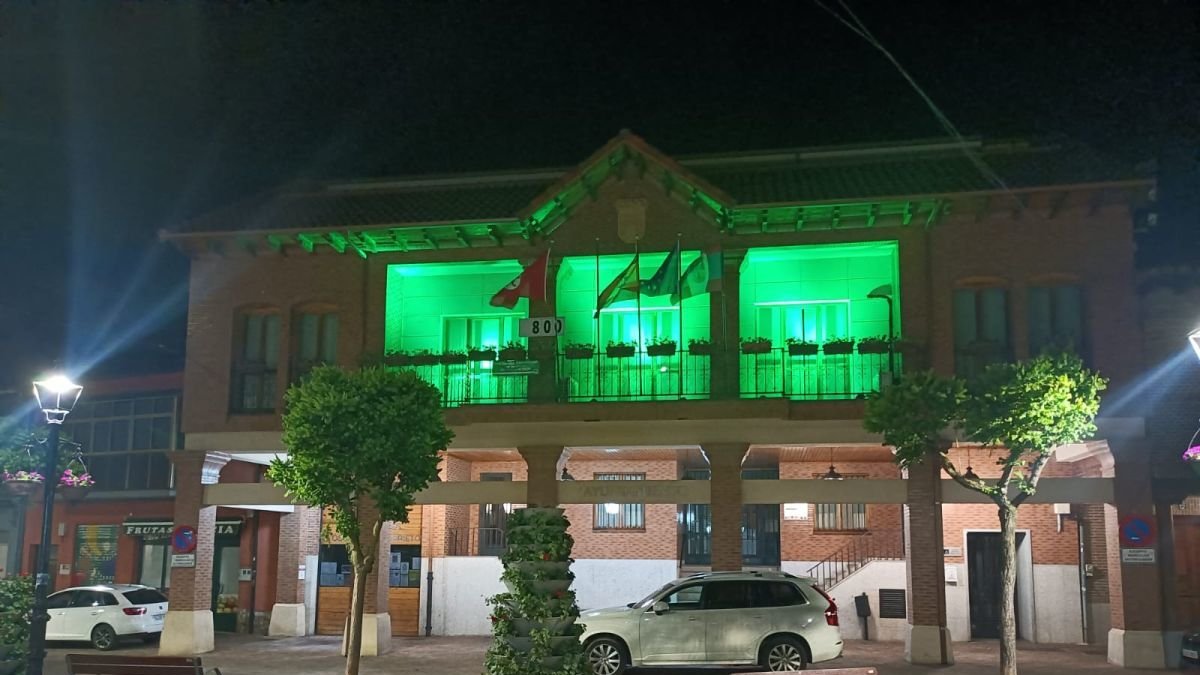 El consistorio de ha iluminado de verde del 17 al 21 de mayo.