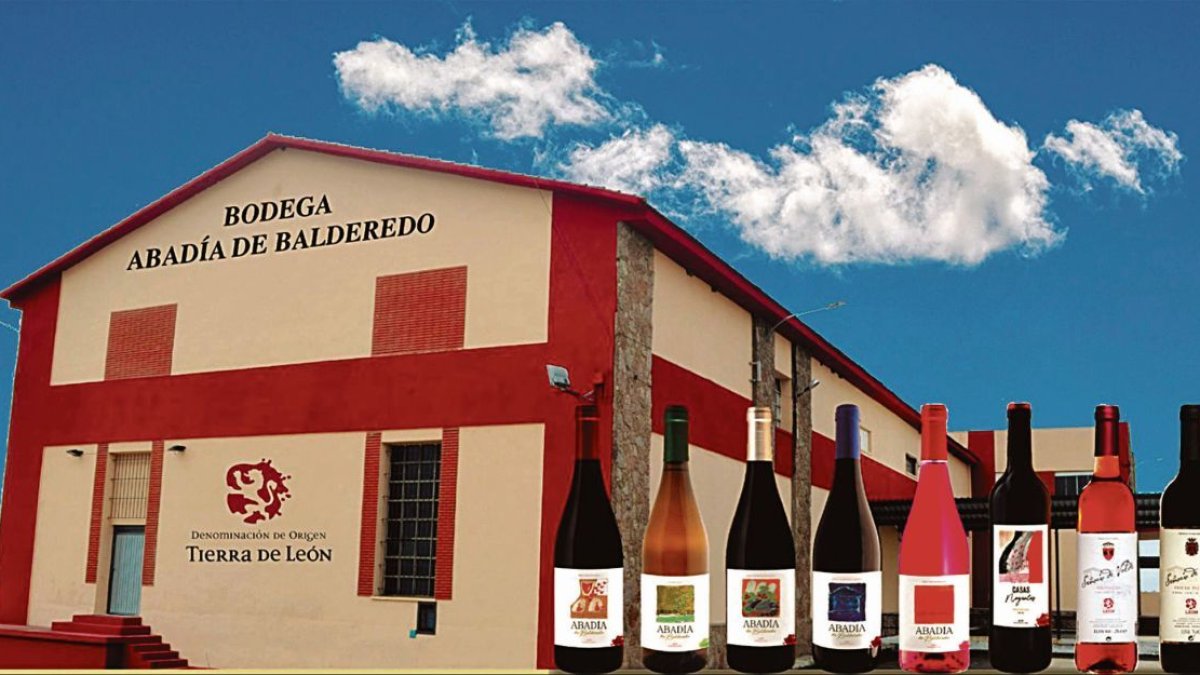 La Cooperativa Vinícola Comarcal de Valdevimbre ofrece desde hace años la esencia de los buenos vinos en cada una de sus botellas.
