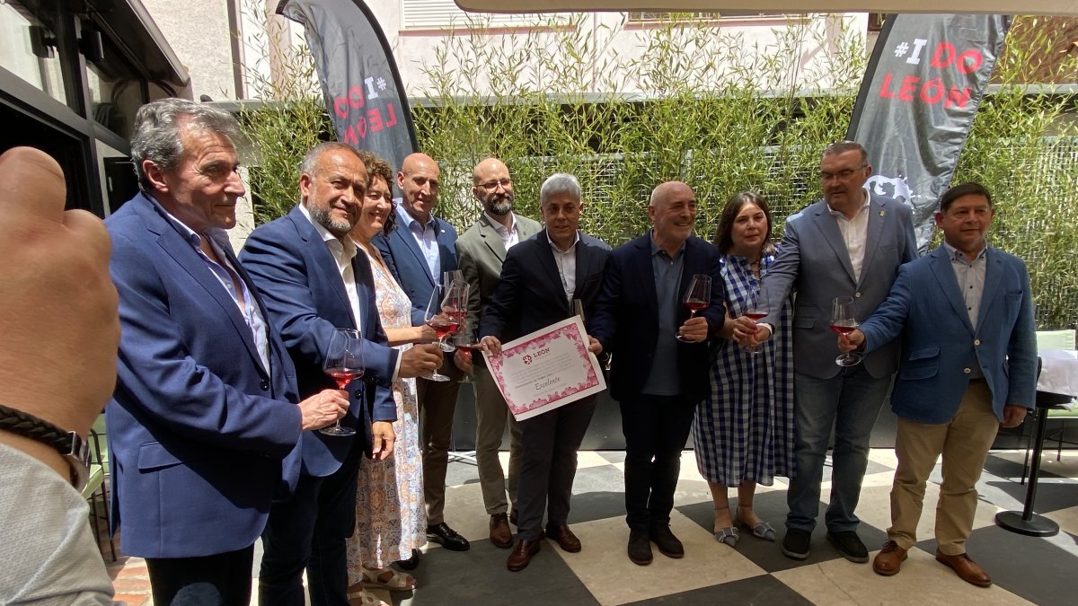 La añada 2025 de la DO León vuelve a ser «excelente» por cuarto año consecutivo.