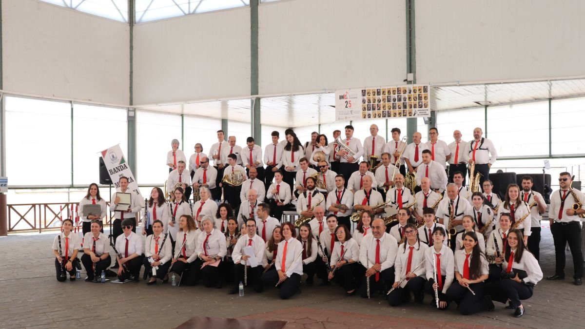 Componentes de las bandas de Cistierna y Laguna de Duero.