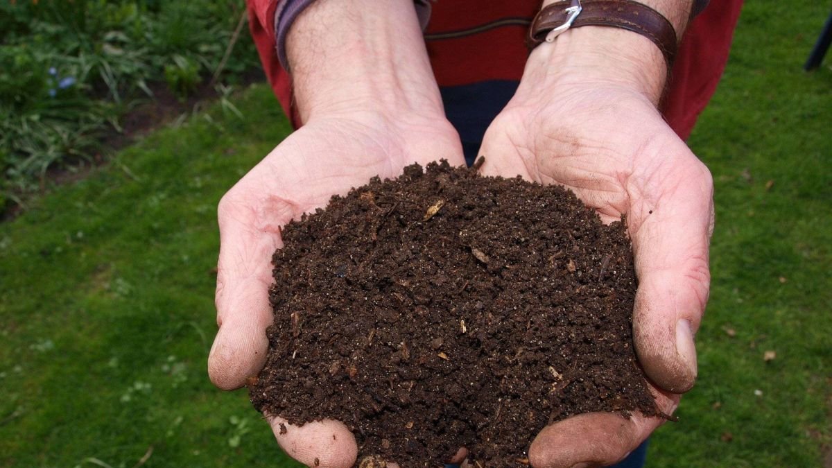 Los precios de los fertilizantes siguen al alza.