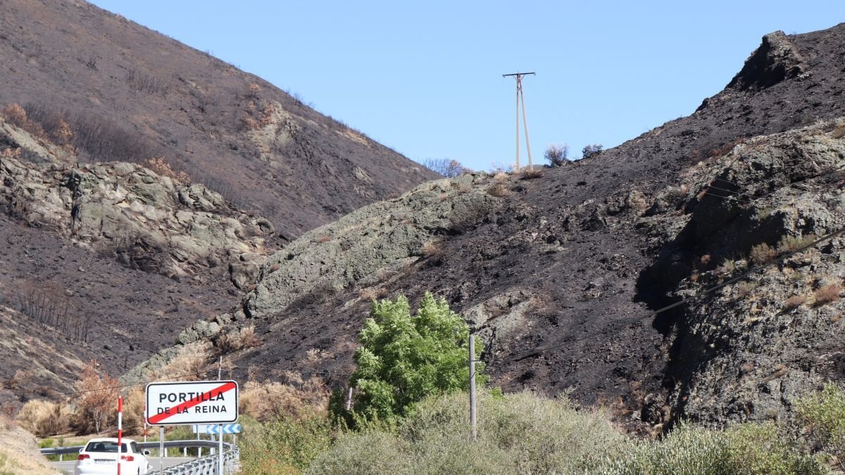 Zona afectada por los incendios en Portilla de la Reina.