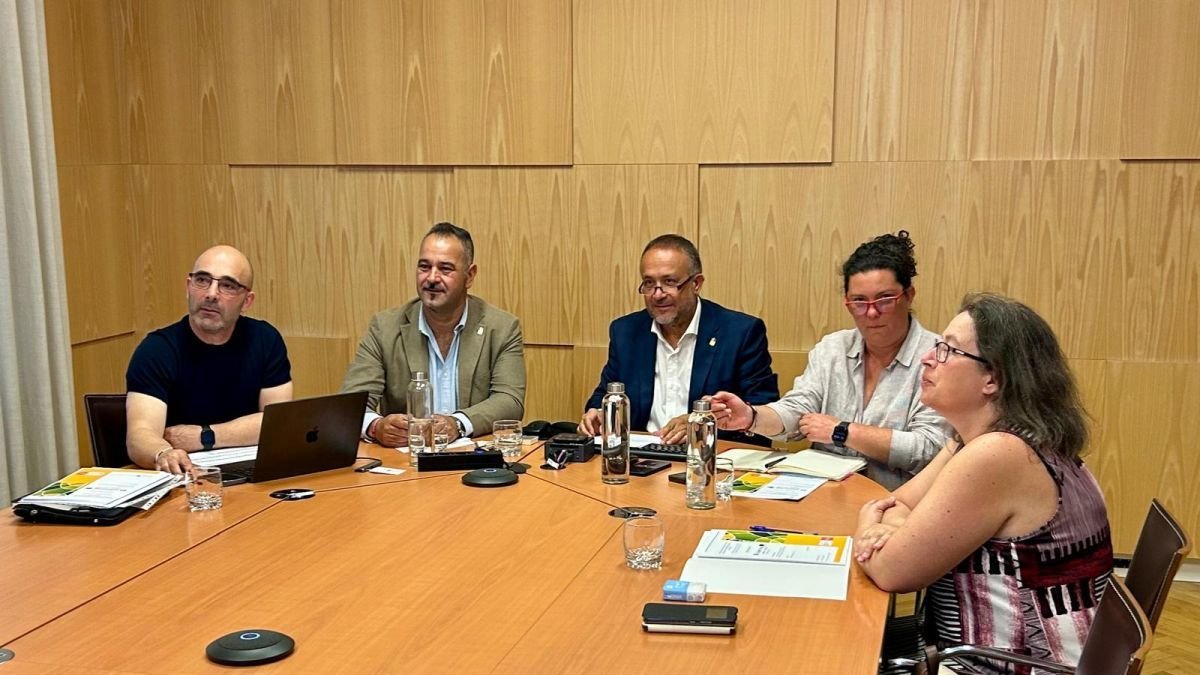 Un momento de la reunión telemática de la Diputación.