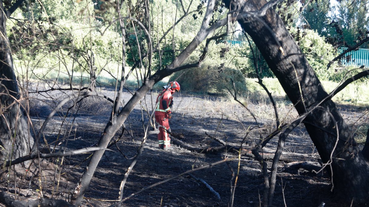 Un bomberos de León apaga los rescoldos del incendio en las huertas de Sáenz de Miera
