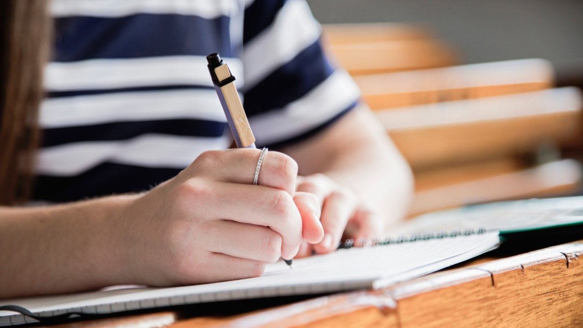 Estudiante universitario.