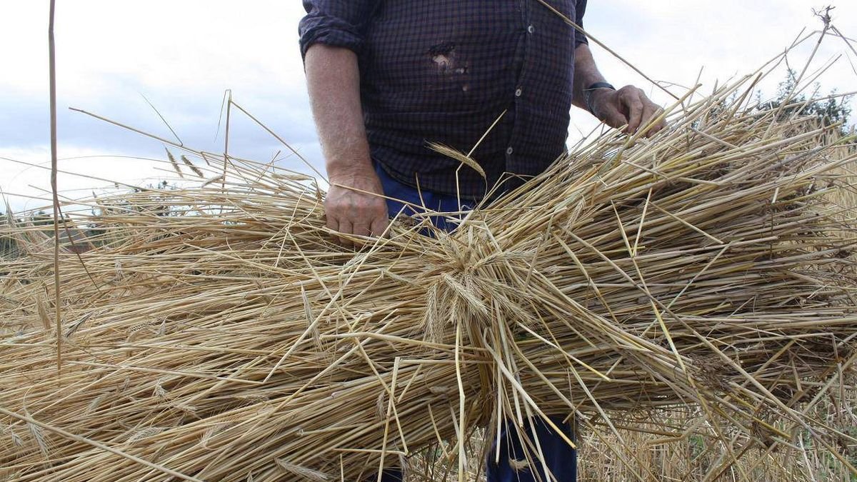 El trabajo en el campo es duro y presenta singularidades.