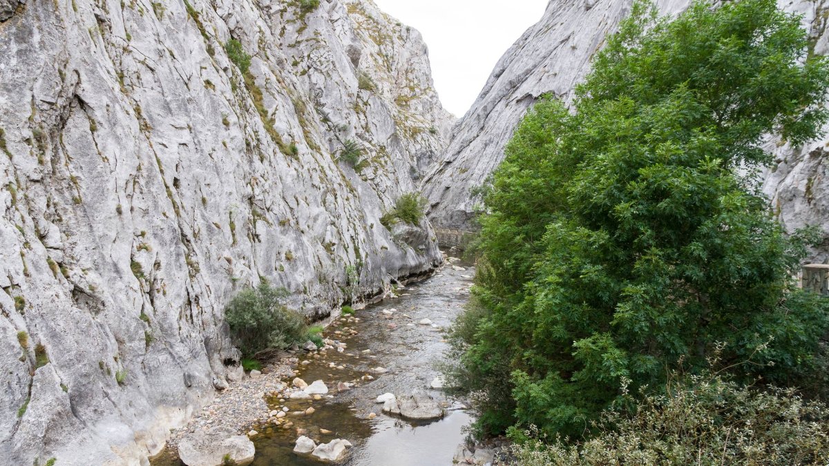 Las Hoces de Vegacervera ofrecen un sencillo paseo familiar entre enormes paredes de piedra esculpidas durante siglos por el río Torío, uno de los paisajes más espectaculares de la provincia de León