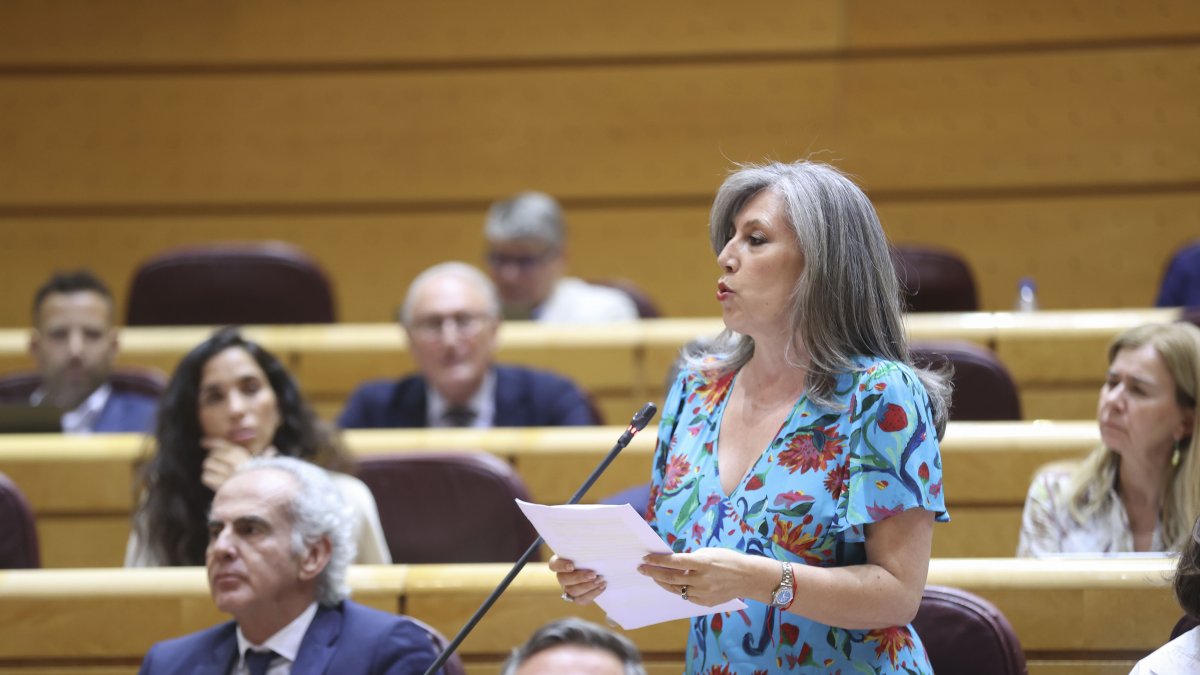 La senadora leonesa del PP María Asunción Mayo interviene durante la sesión de control al Gobierno celebrada por el pleno del SenadoEFE/ Victor Lerena