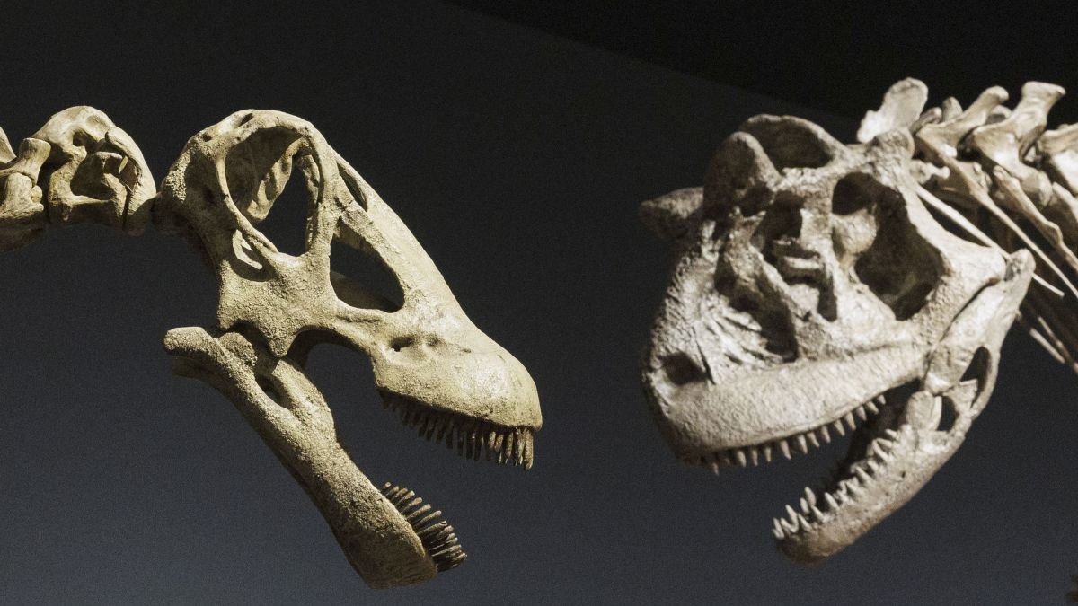 Los hallazgos en torno a los dinosaurios están completando su historia en diferentes regiones.
