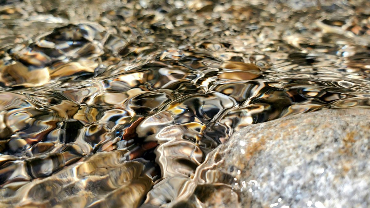 Las aguas de las Caldas de Getino mantienen una temperatura constante de entre 26 y 27 grados y, según diversas fuentes locales, son apreciadas por su contenido en bicarbonatos y minerales ferruginosos.