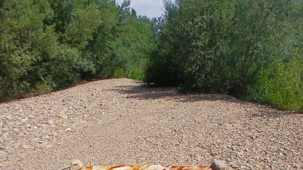 Manta encontrada por el Mocho visible desde el puente de San Marcos