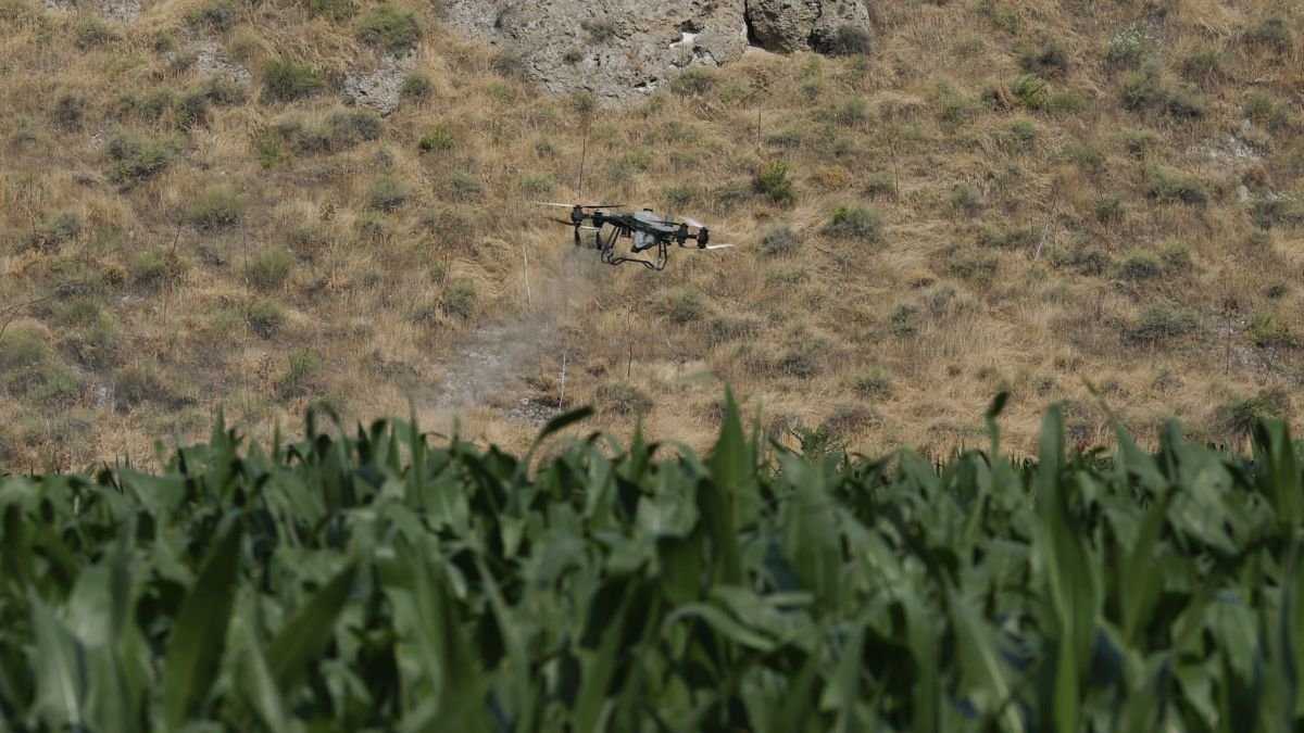 Un dron en funcionamiento durante la presentación del Plan Estatal de Fertilizantes.