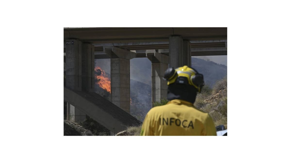 Efectivos antiincendios trabajan en labores de extinción del incendio de Los Gallardos en Almería, este viernes.