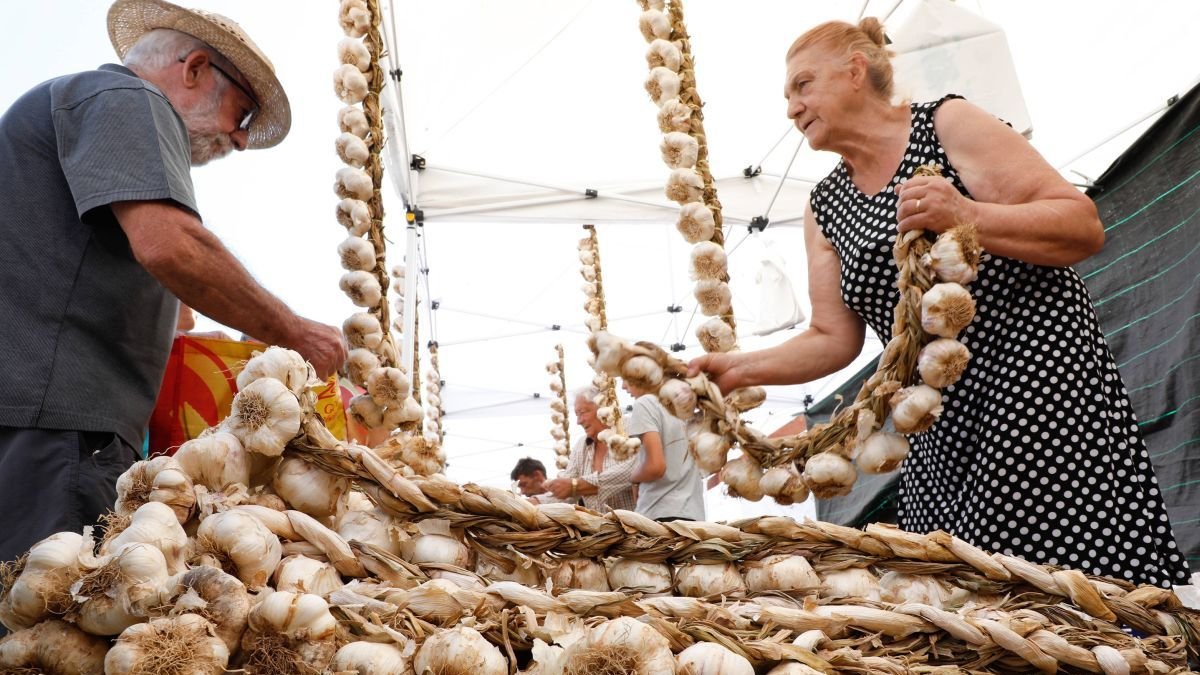 La Feria Agroganadera y del Ajo de Veguellina de Órbigo cumple su 35ª edición consolidada como todo un referente que cada año acoge a miles de visitantes.