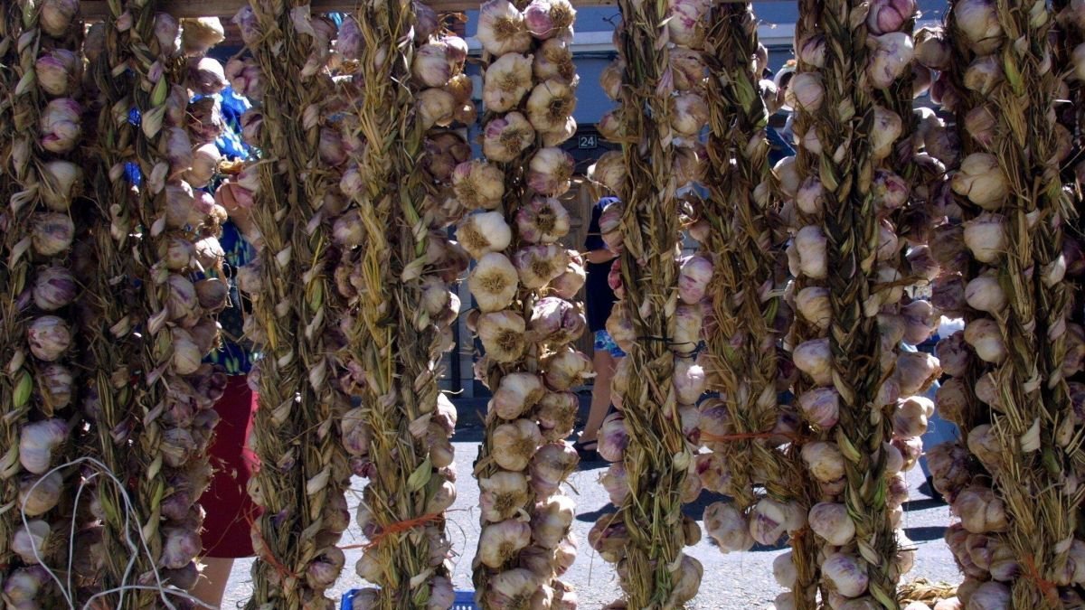 El ajo es una fuente de riqueza agroalimentaria y también a nivel económico.