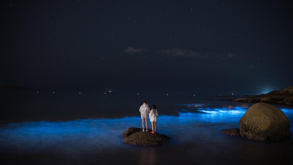 Fotografía de archivo de dos personas en la Playa de A Lanzada, en O Grove, provincia de Pontevedra, observando la bioluminiscencia, conocida en Galicia como Mar de Ardora, que ilumina la costa gallega durante la madrugada. EFE
