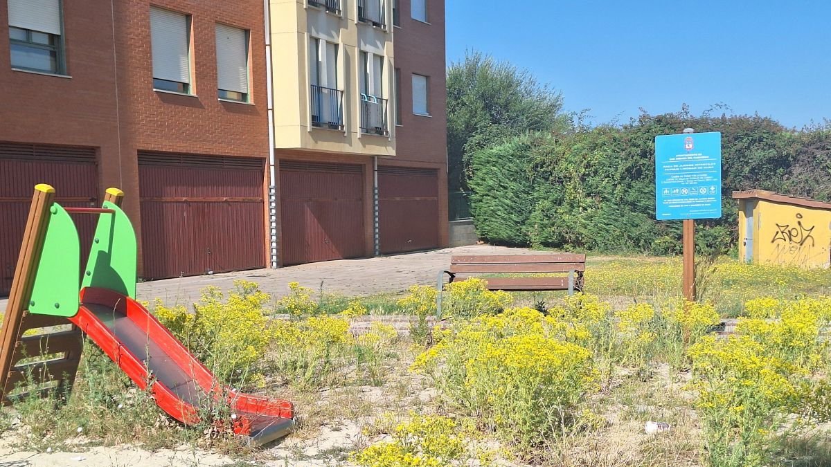 El PP pide limpiar calles y centros públicos de San Andrés del Rabanedo de la invasión de hierbas