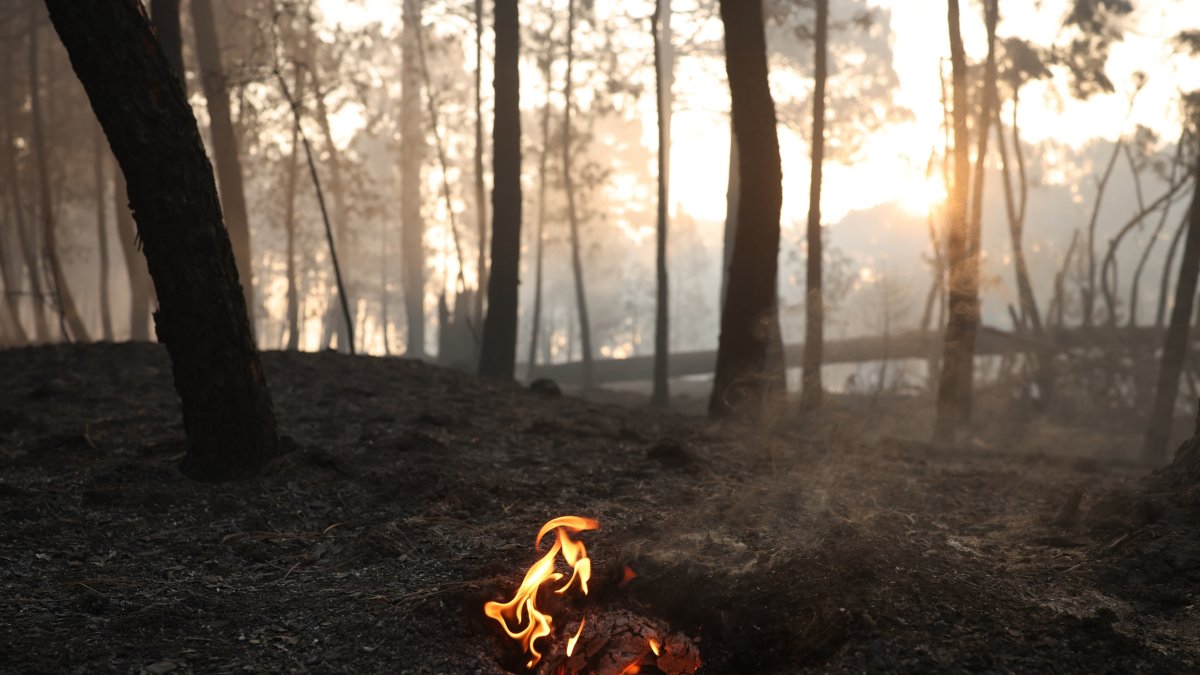 La Junta baja la Situación Operativa a 0 tras trece días en nivel 2 por la gravedad de los incendios