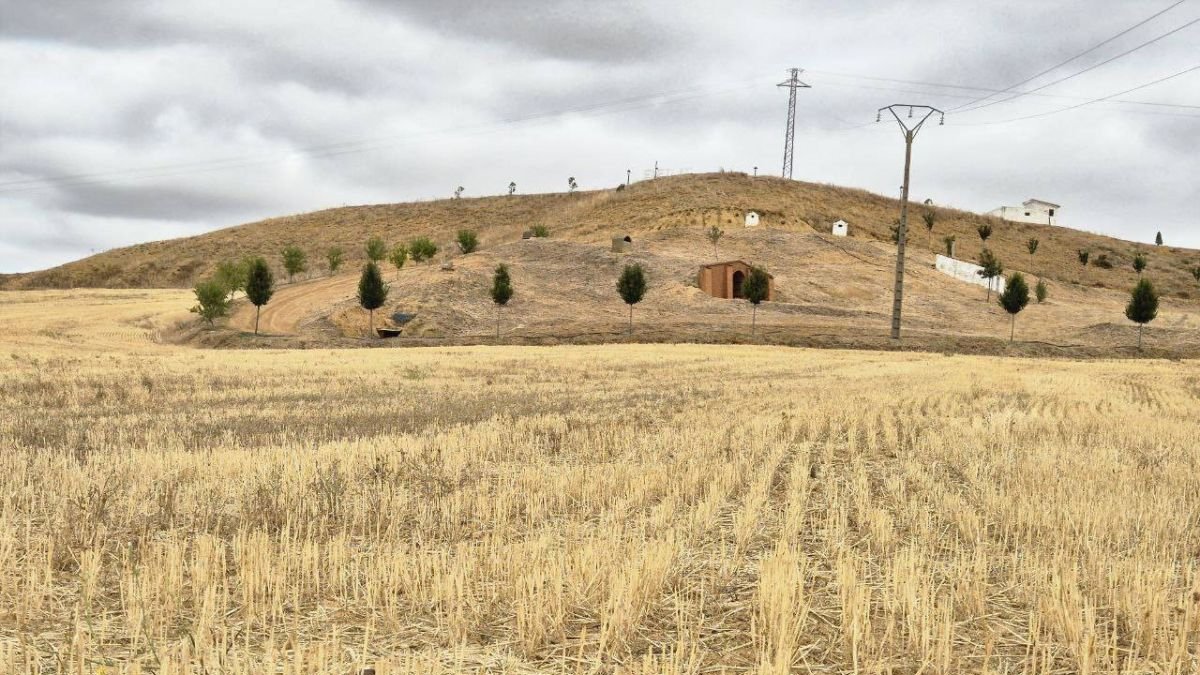 Un campo de cereal en la provincia, donde la cosecha ha mermado por encima del 40%.