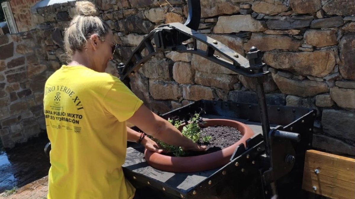 El alumnado del programa mixto Fabero Verde instala una jardinera minera en San Pedro de Paradela