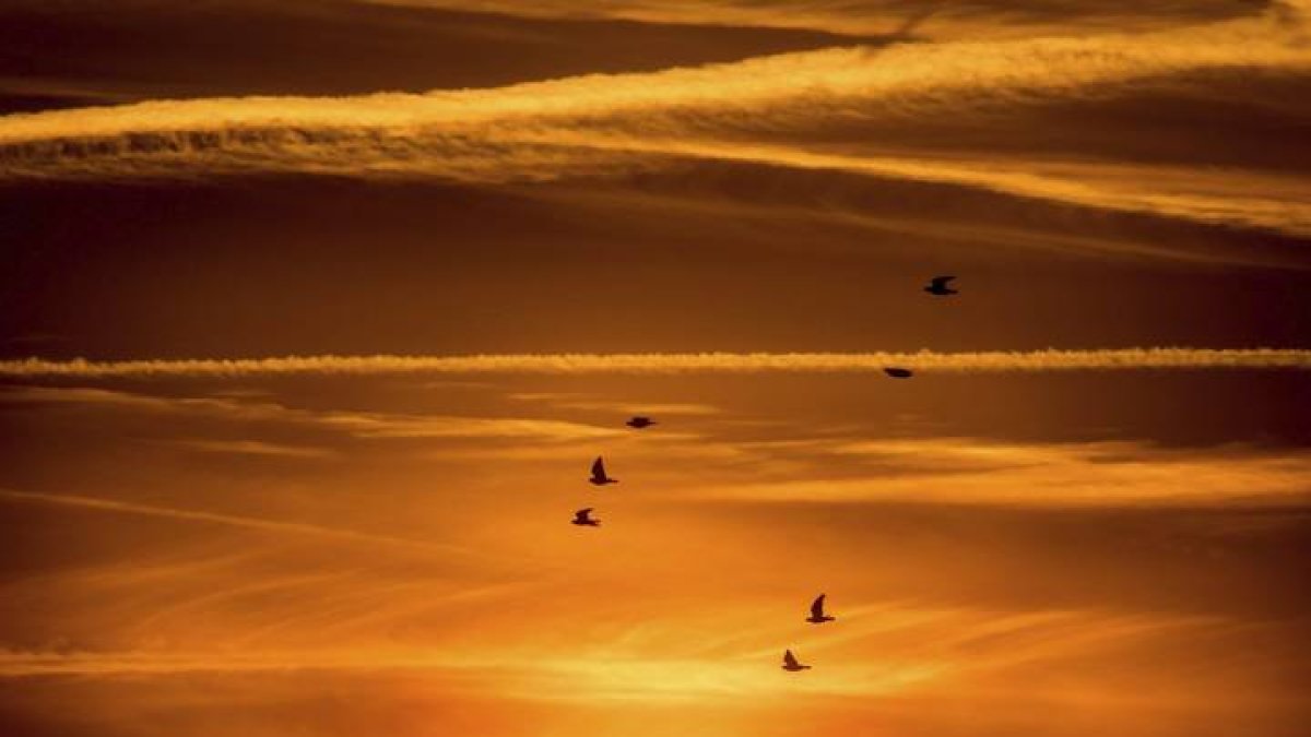 Google probará un sistema para reducir el impacto climático de las estelas de aviones