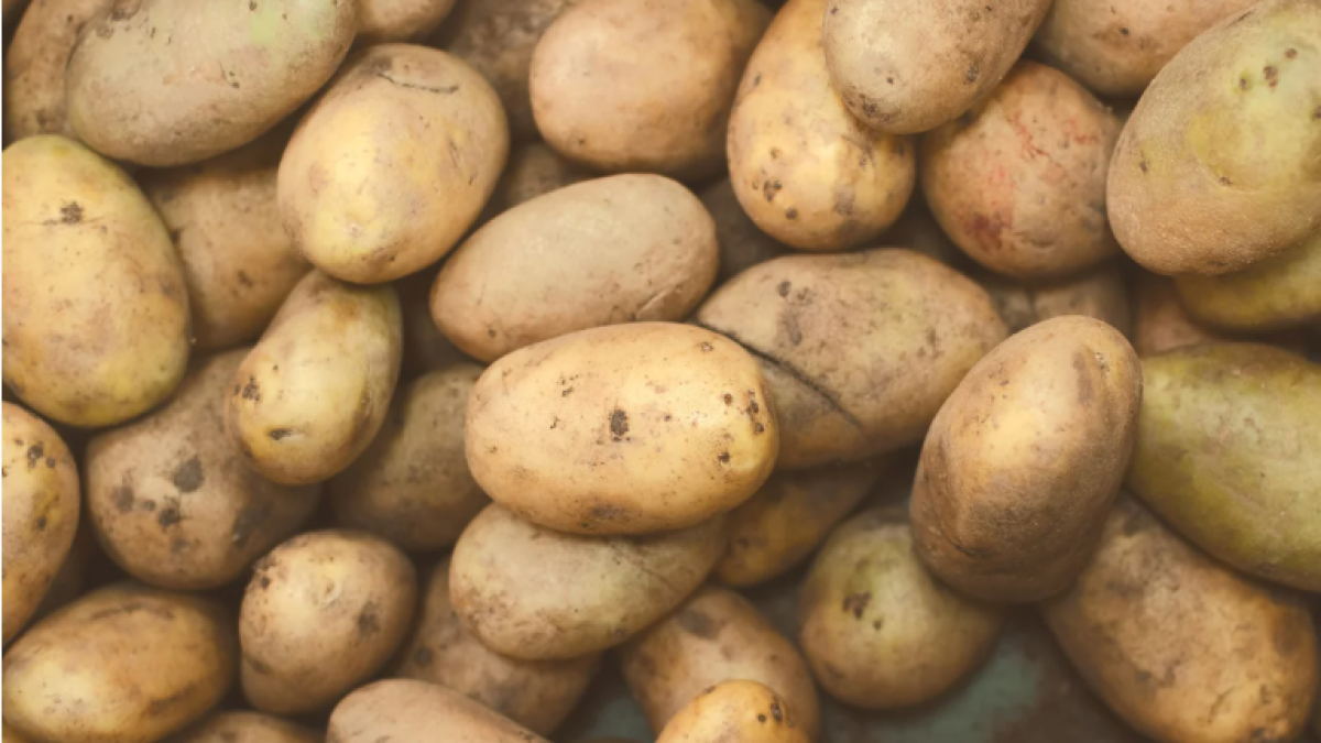 Estos son los tres alimentos que más han subido de precio durante el mes de agosto