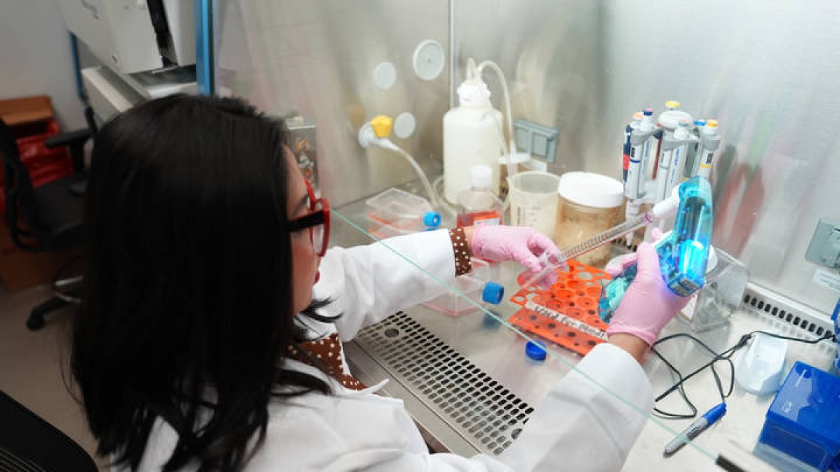 Estados Unidos aprueba un prometedor tratamiento contra el cáncer de páncreas