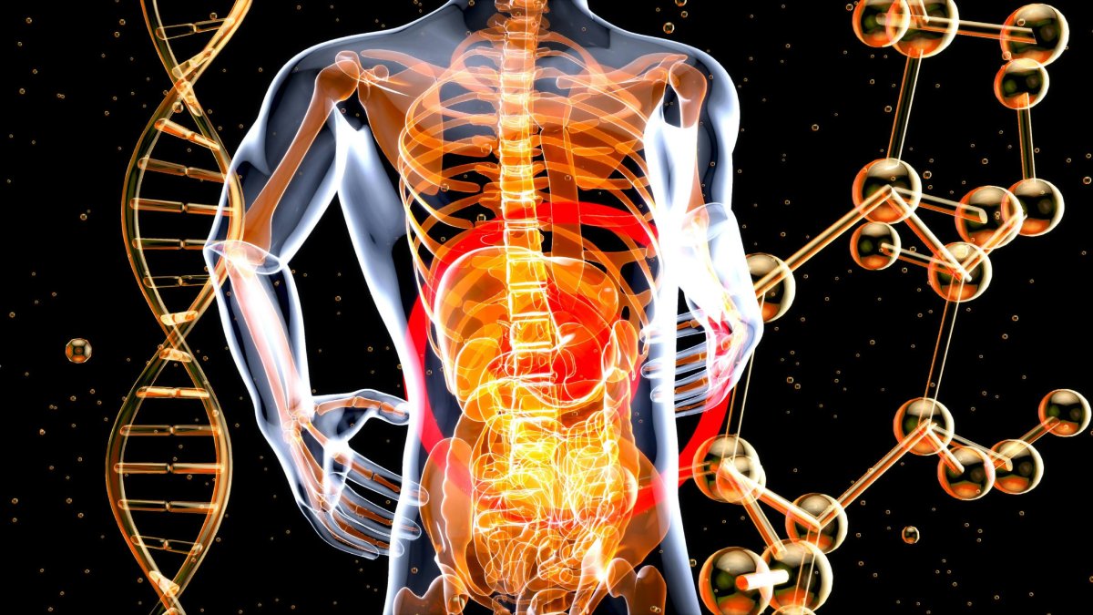 El metabolismo interviene en procesos relacionados con la glucosa, los lípidos, la presión arterial y la producción hormonal, aspectos que David Perlmutter conecta en su explicación sobre salud metabólica